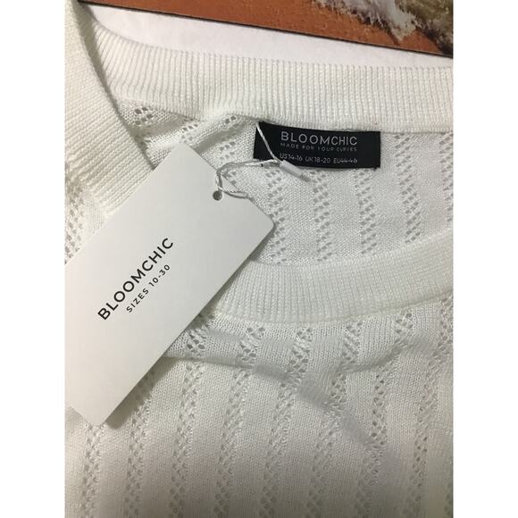BLOOMCHIC 14-16 1X Plus White Round Neck Long Sleeve Kinit Top Sweater NWT b150 - Picture 4 of 6